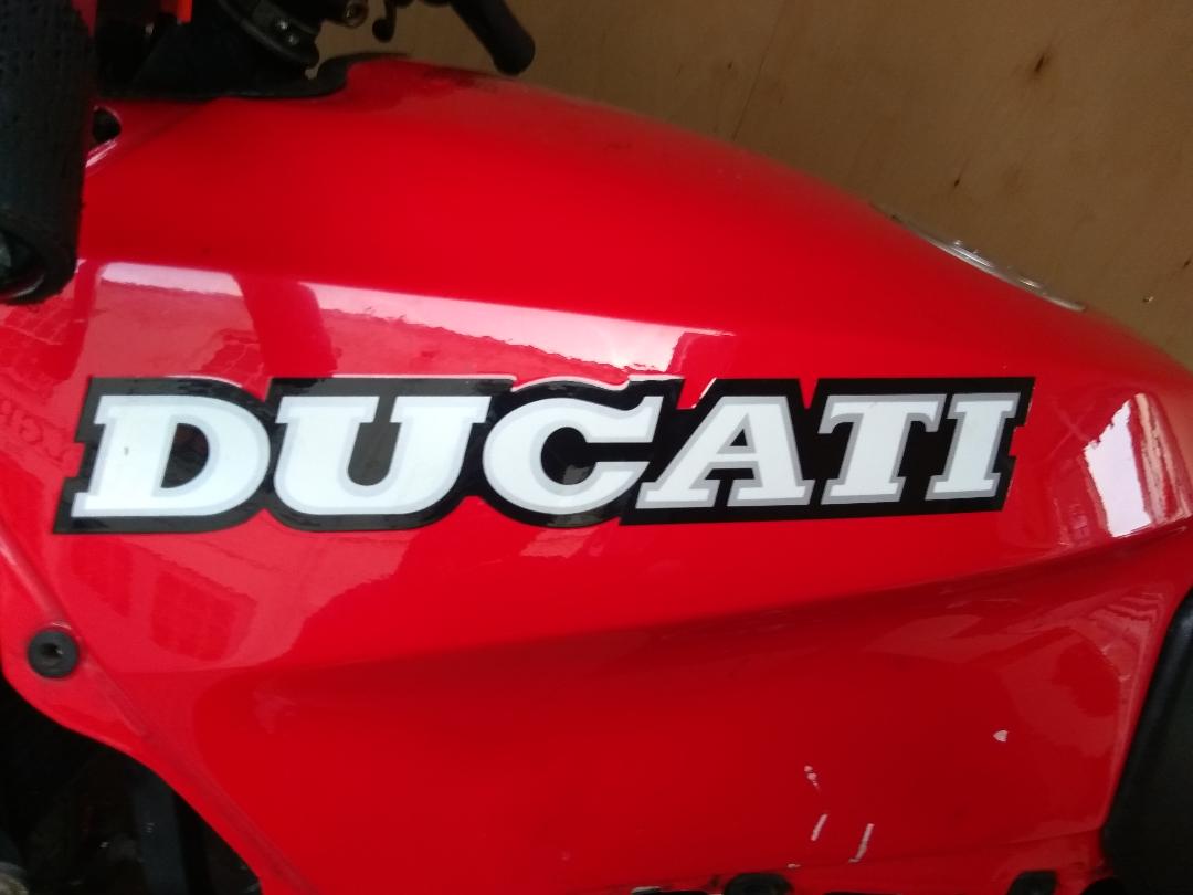 Ducati badge | LBT Motorcycle Recovery | London 020 7228 0800